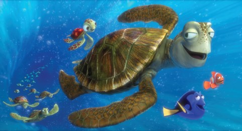 Image result for finding nemo movie stills